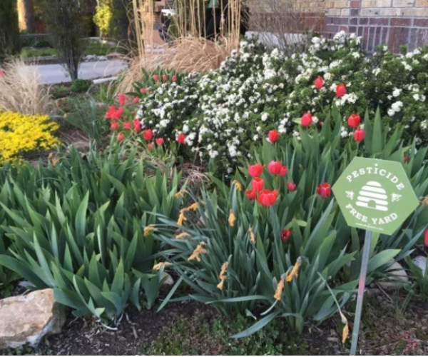 Case Study: How Being a Bright City Can Lead to  Even More Wins for Your Community