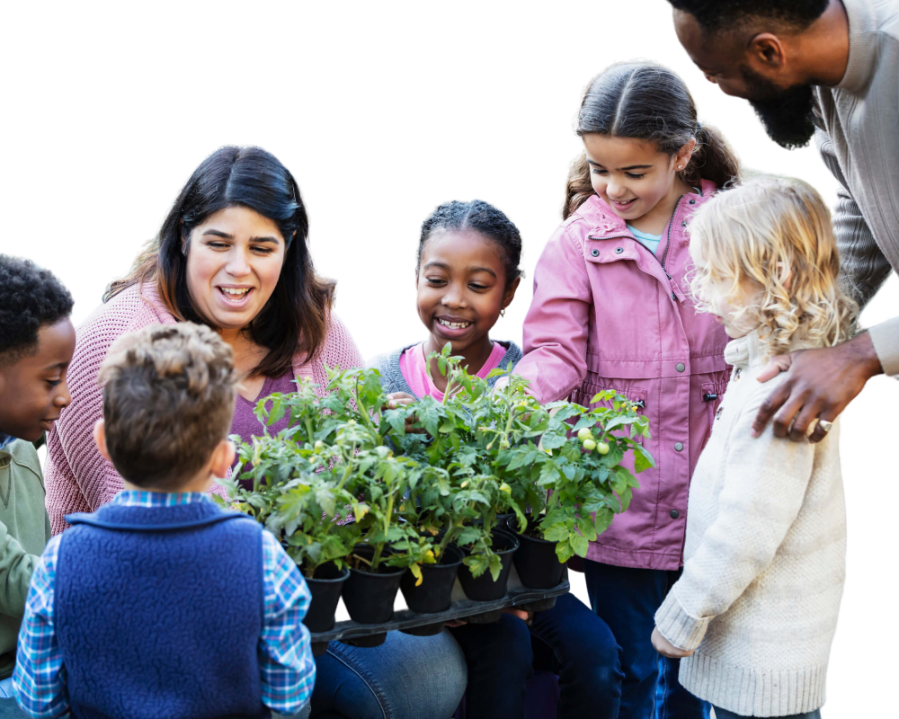 Take Action - In Your City