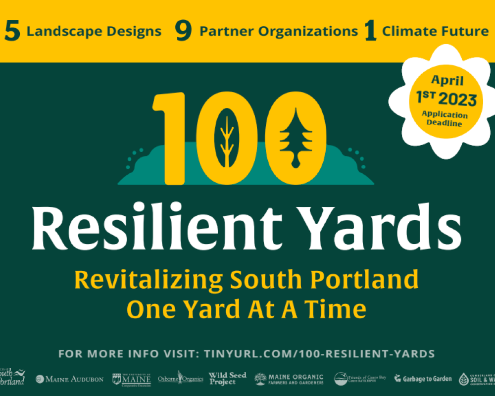 S Portland Maine Yard Sign